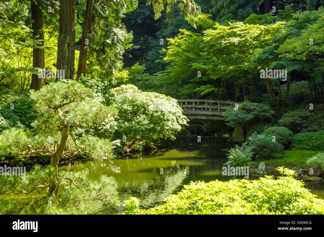 Vista del giardino giapponese a Portland, Oregon Foto Stock