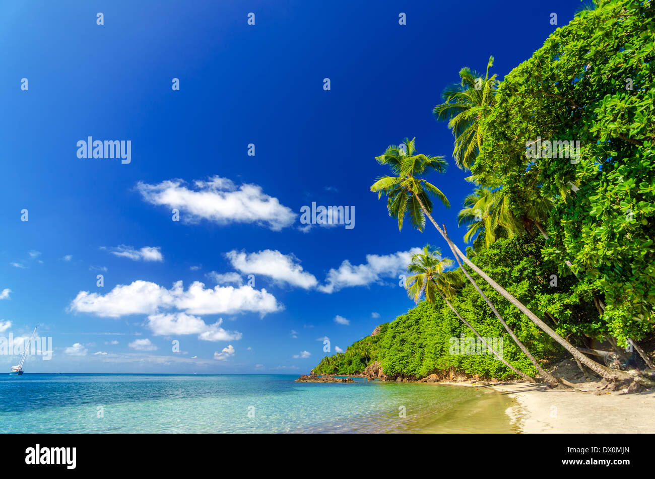 Tropical spiaggia di sabbia bianca e acqua turchese nel Mar dei Caraibi Foto Stock