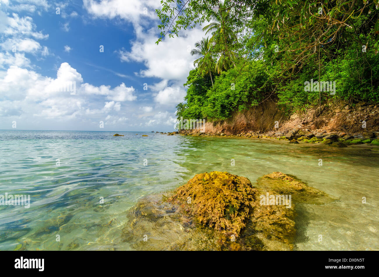 Vista del lussureggiante verde costa tropicale nel Mar dei Caraibi a San Andrés y Providencia, Colombia Foto Stock