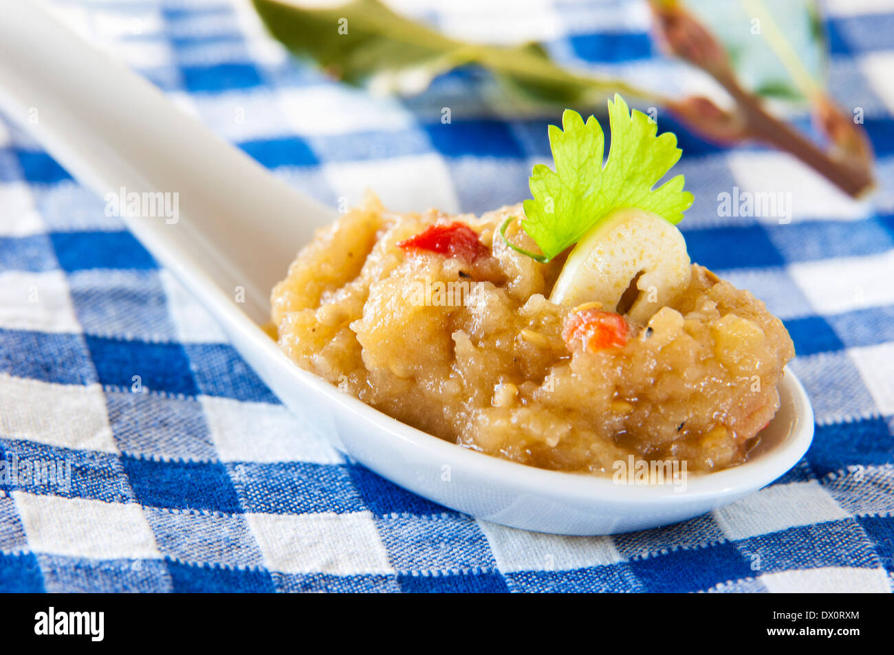 Una tradizionale ricetta greca fatta di purea di melanzane, peperone rosso aglio e olio di oliva in un cucchiaio di porcellana Foto Stock