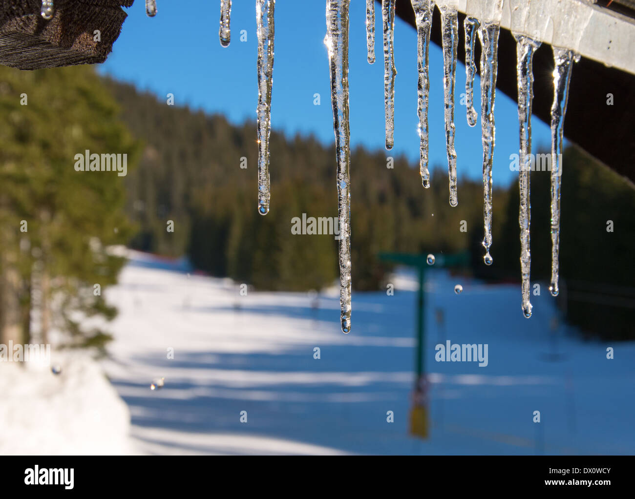 Ghiaccioli fusione su un caldo sole invernale in inizio di mattina di tempo. Foto Stock