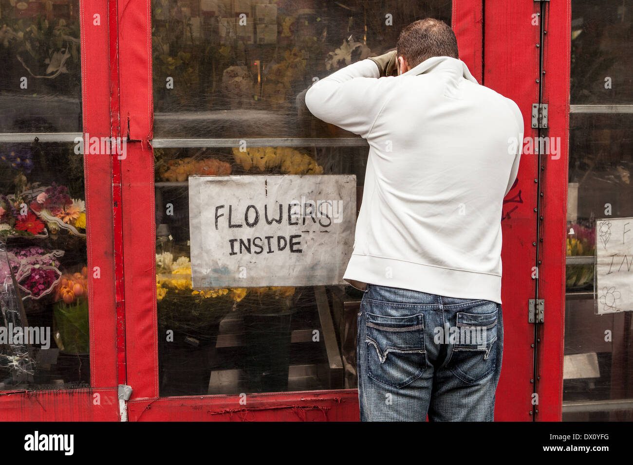 Uomo che guarda in che il fioraio attraverso la finestra. Foto Stock