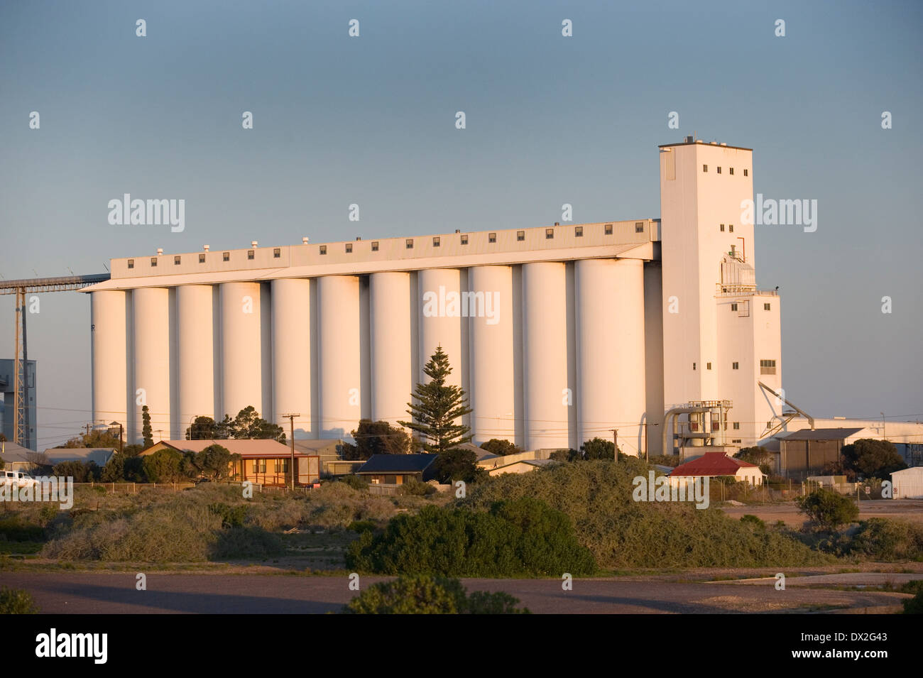 Grano di silos di stoccaggio Foto Stock