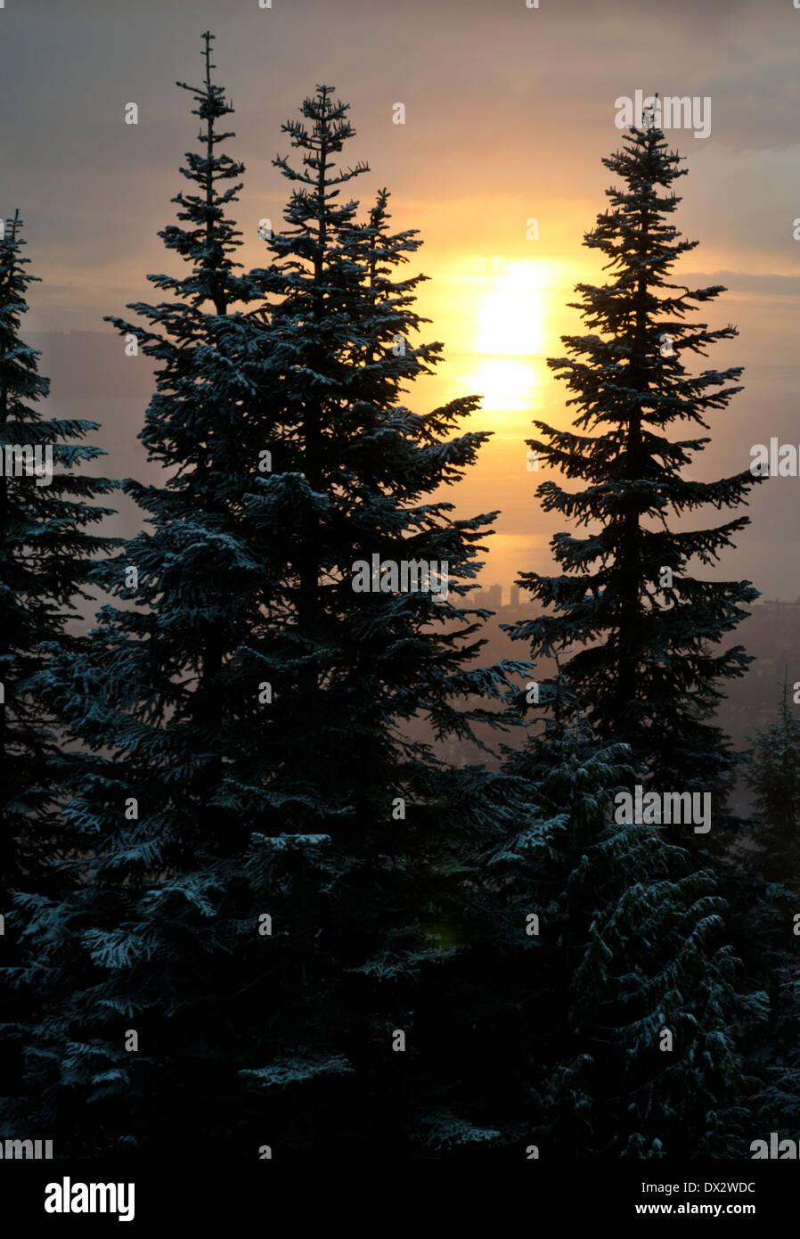 Tramonto in inverno attraverso la coperta di neve alberi sempreverdi del Monte Grouse in Vancouver. L'acqua e la città può essere visto qui di seguito. Foto Stock