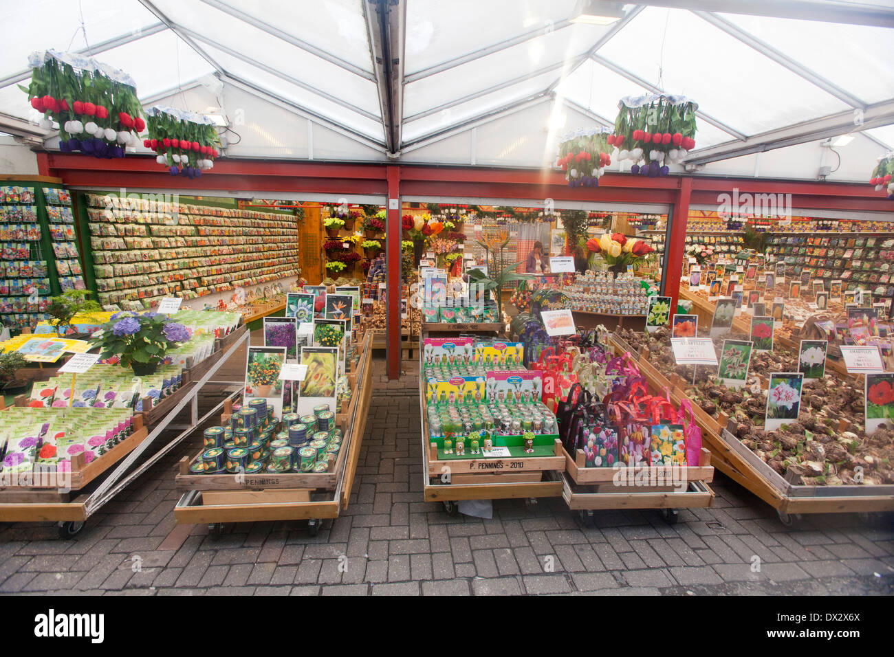 Il mercato dei fiori di Amsterdam, Paesi Bassi Foto Stock