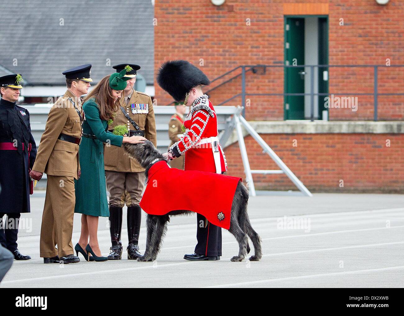 Aldershot, Gran Bretagna. Xvii Mar, 2014. Britains Prince William und Duchessa Catherine sono gli ospiti d'onore di quest'anno al irlandese Guardie' il giorno di San Patrizio Parade di Aldershot, Gran Bretagna, 17 marzo 2014. Foto: RPE/ Albert Nieboer -/dpa/Alamy Live News Foto Stock