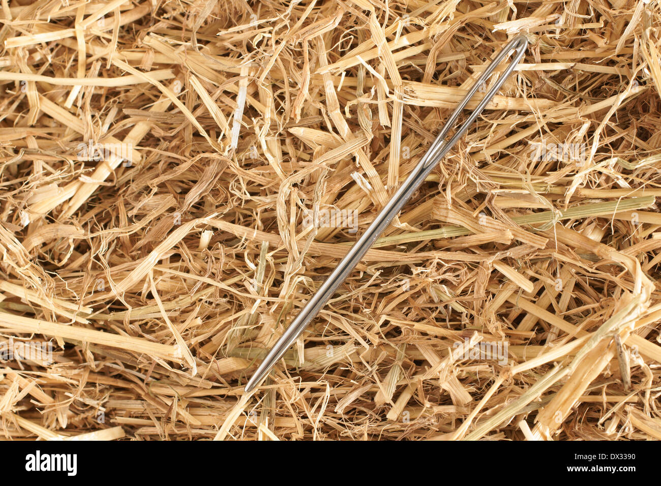 Ago nel pagliaio immagini e fotografie stock ad alta risoluzione - Alamy