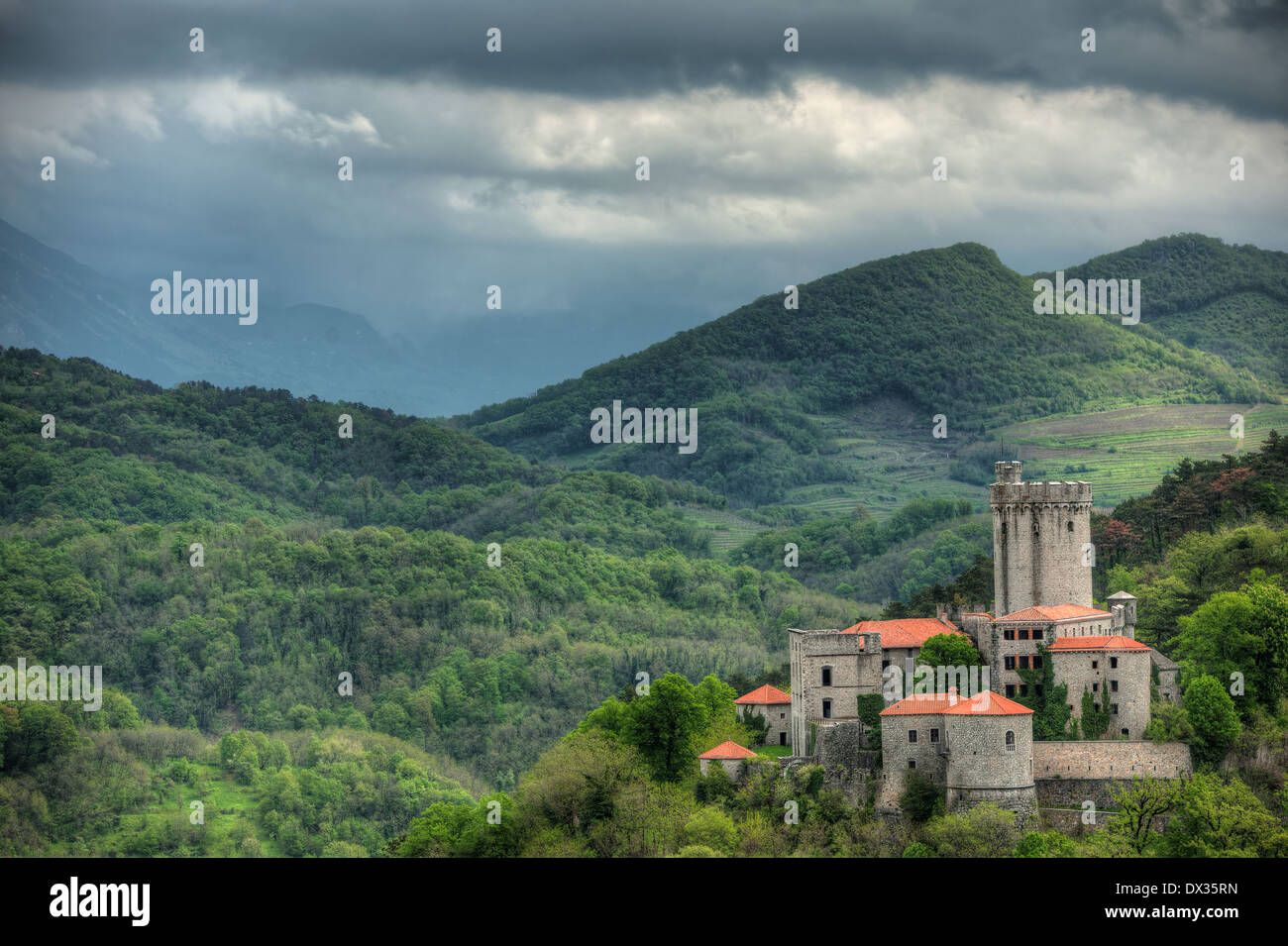 Medievale Rihemberk castli in Branik, Slovenia Foto Stock