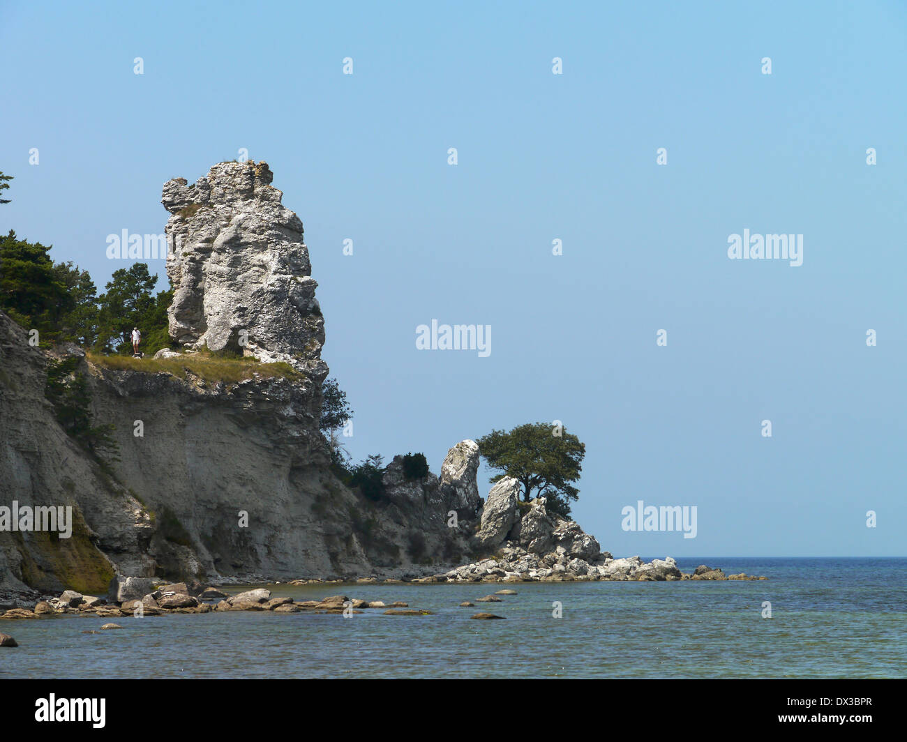 Rauk jungfrun (vergine), lickershamn, Gotland, Gotlands Län, Svezia Foto Stock