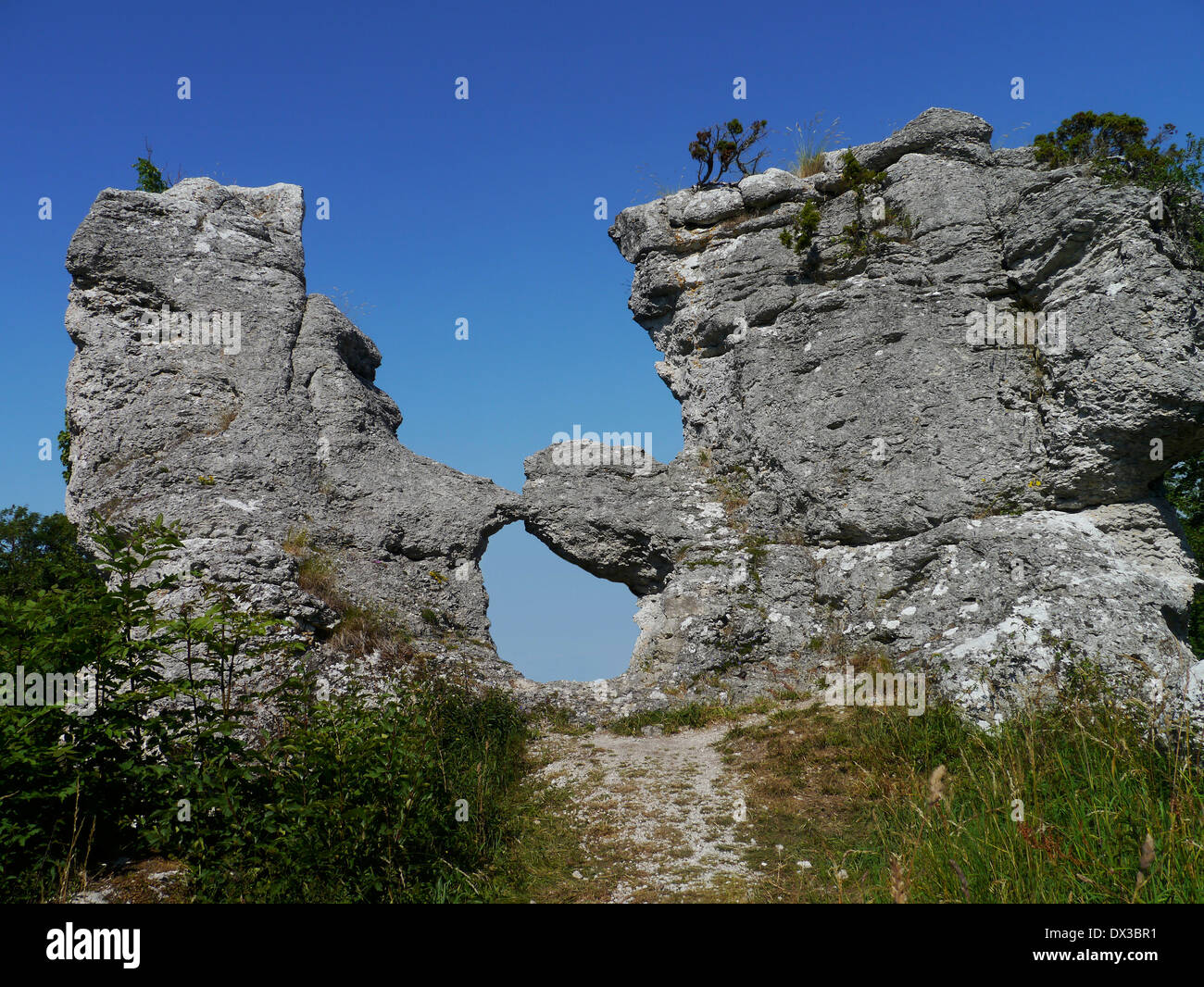 Rauk grausne norra, lickershamn, Gotland, Gotlands Län, Svezia Foto Stock