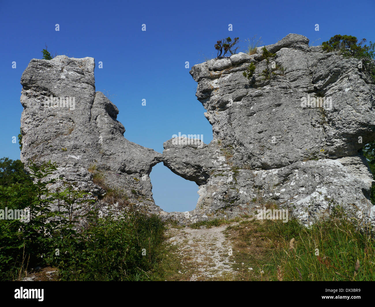 Rauk grausne norra, lickershamn, Gotland, Gotlands Län, Svezia Foto Stock