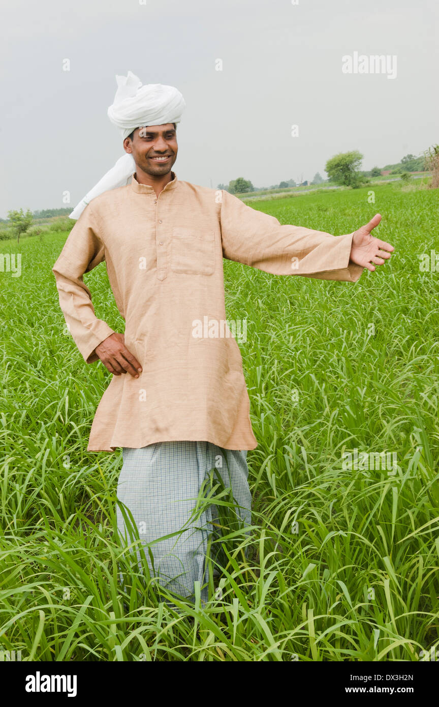 1 L'agricoltore indiano in piedi in campo Foto Stock