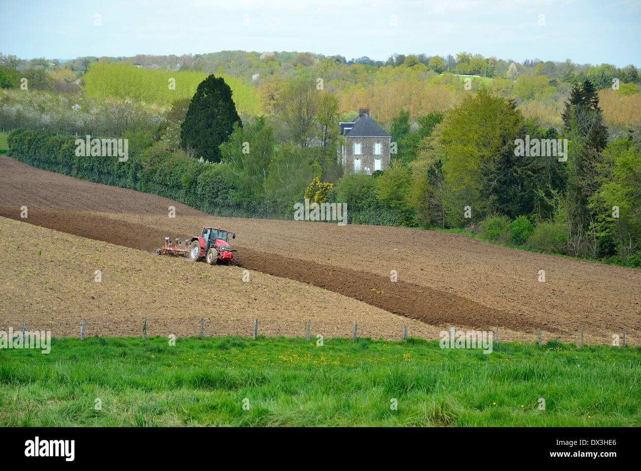 Un trattore arare un campo in primavera, Nord Mayenne, Paese della Loira, Francia. Foto Stock