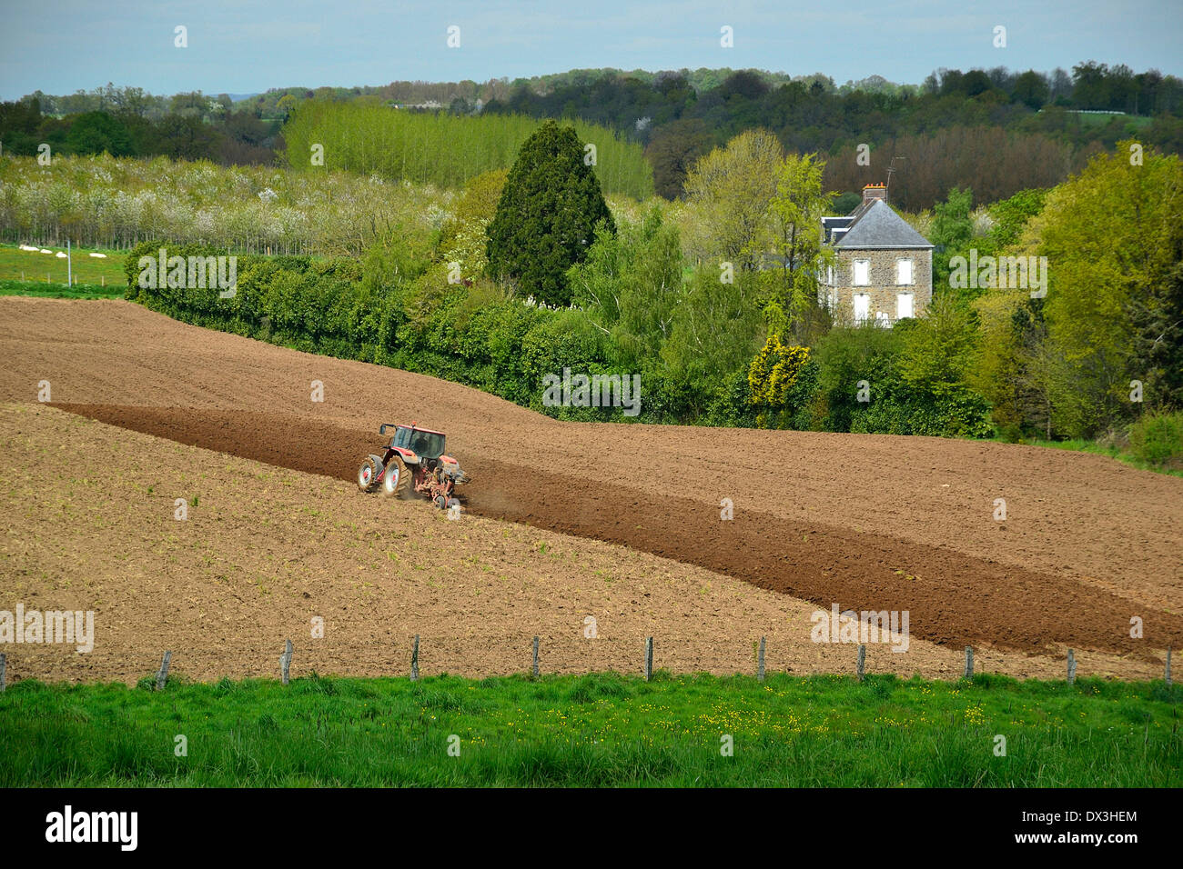 Un trattore arare un campo in primavera, Nord Mayenne, Paese della Loira, Francia. Foto Stock