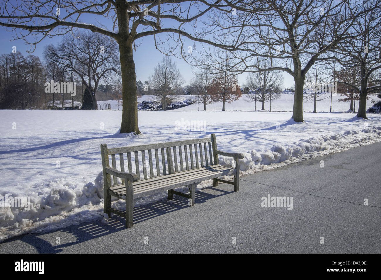 Svuotare una panchina nel parco, fredda giornata invernale Foto Stock