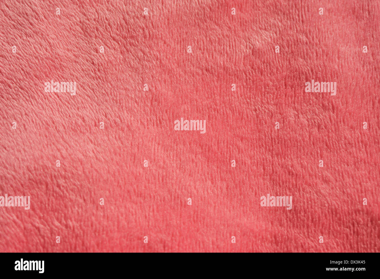 Pink Carpet texture Foto Stock