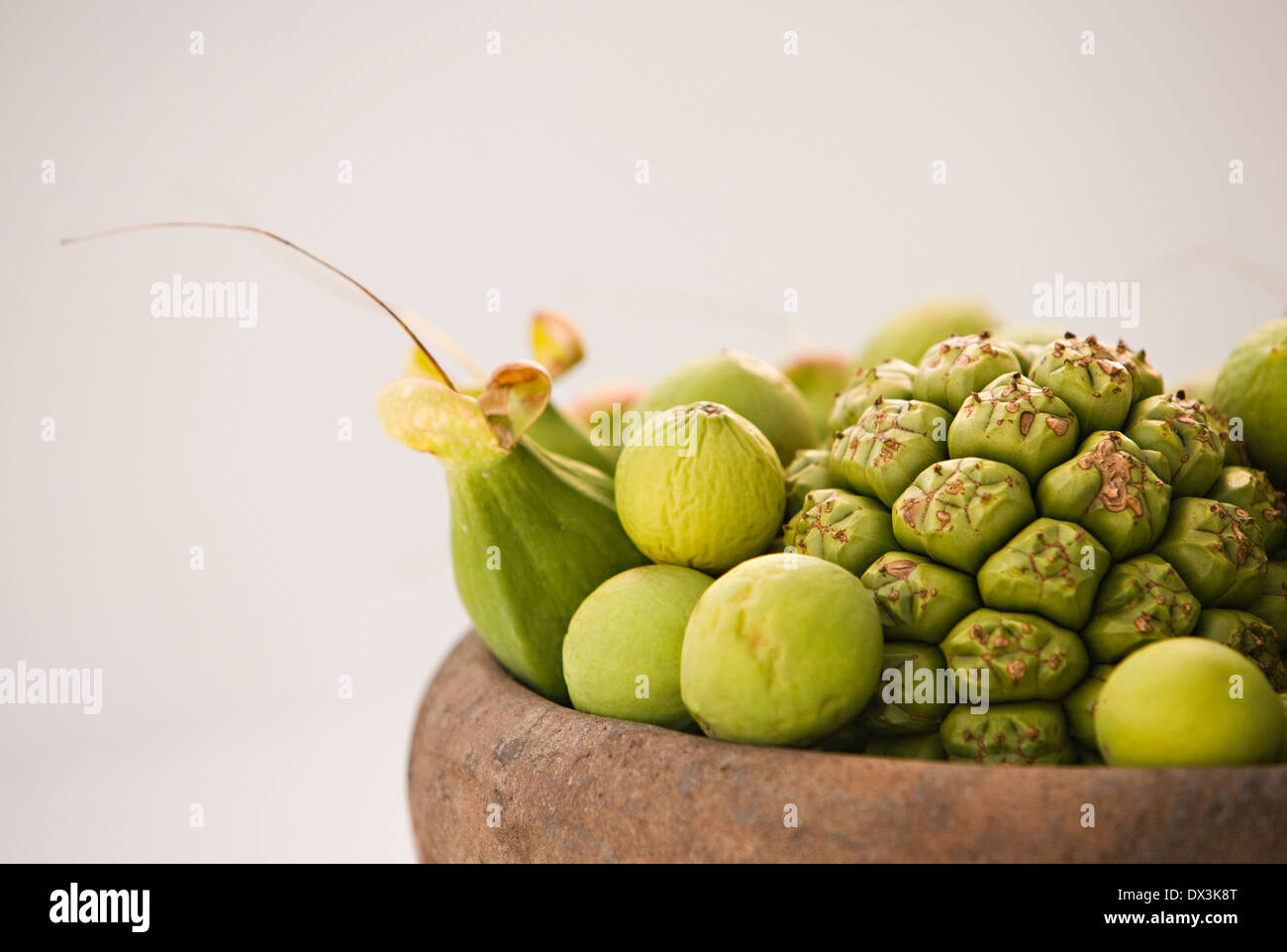 Il tahitiano di frutta e verdura in ciotola di legno su sfondo bianco, close up Foto Stock