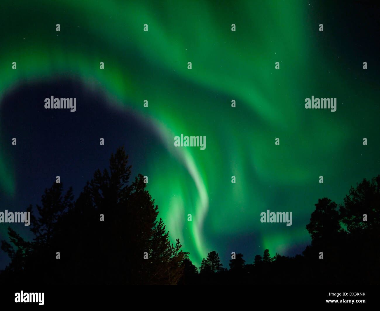 Luci del nord, aurora boreale, a karasjok, finnmark, Norvegia Foto Stock
