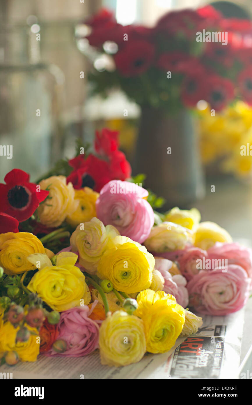 Multicolor ranunculus mazzo di fiori sul giornale, close up Foto Stock