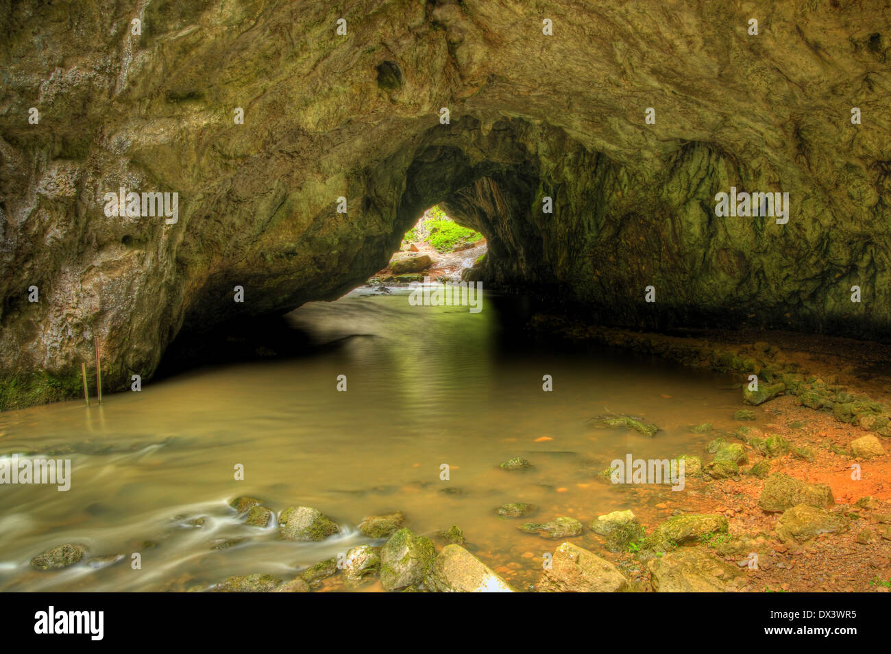 Un fiume che scorre attraverso una grotta sul complesso carsico sloveno Foto Stock