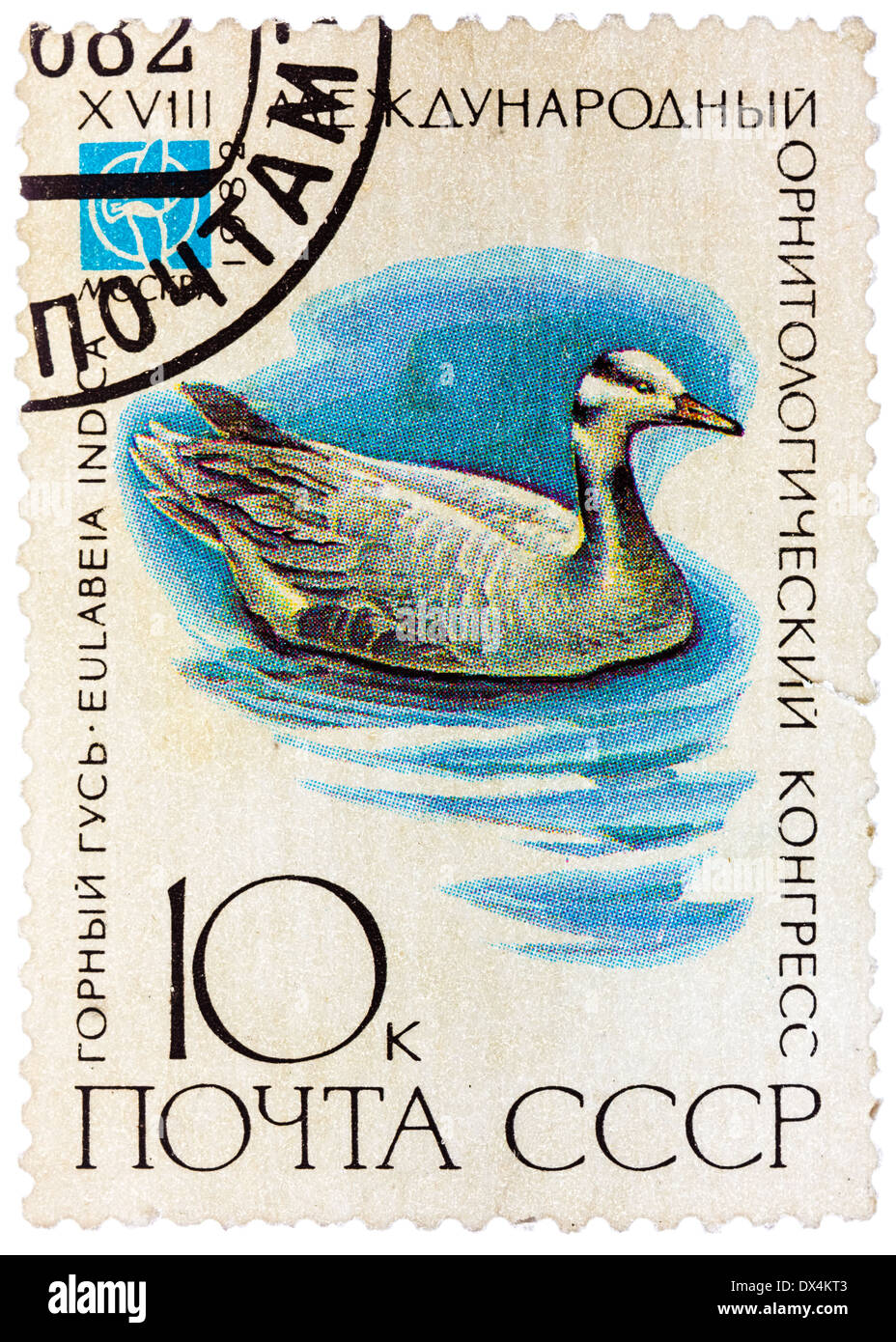 Timbro stampato in URSS (Russia) mostra un uccello Eulabeia indica Foto Stock