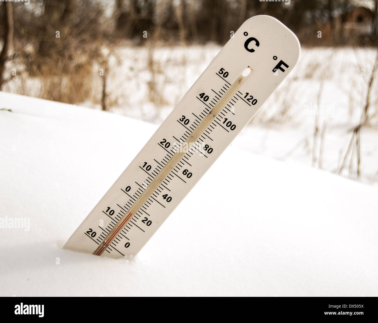 Il termometro nella neve Foto Stock