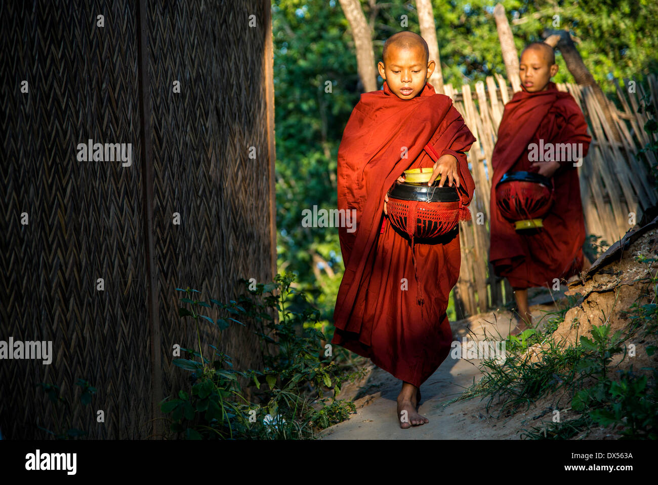 Novizi buddisti con elemosinare bocce a loro mattina tour di accattonaggio, il Monte Popa, in Bagan, Mandalay Division, Myanmar Foto Stock