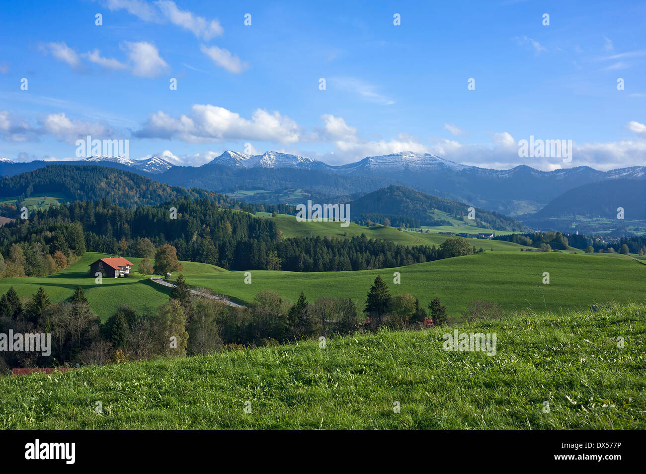 Agriturismo nella campagna di Allgäu, Algovia Alpi sul retro, Stiefenhofen, Algovia, Baviera, Germania Foto Stock