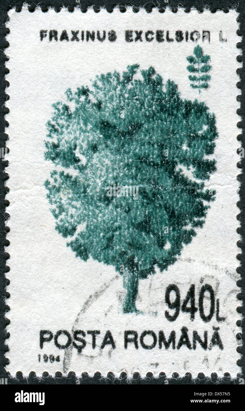 ROMANIA - circa 1994: francobollo stampato in Romania mostra un albero cenere comune (Fraxinus excelsior), circa 1994 Foto Stock