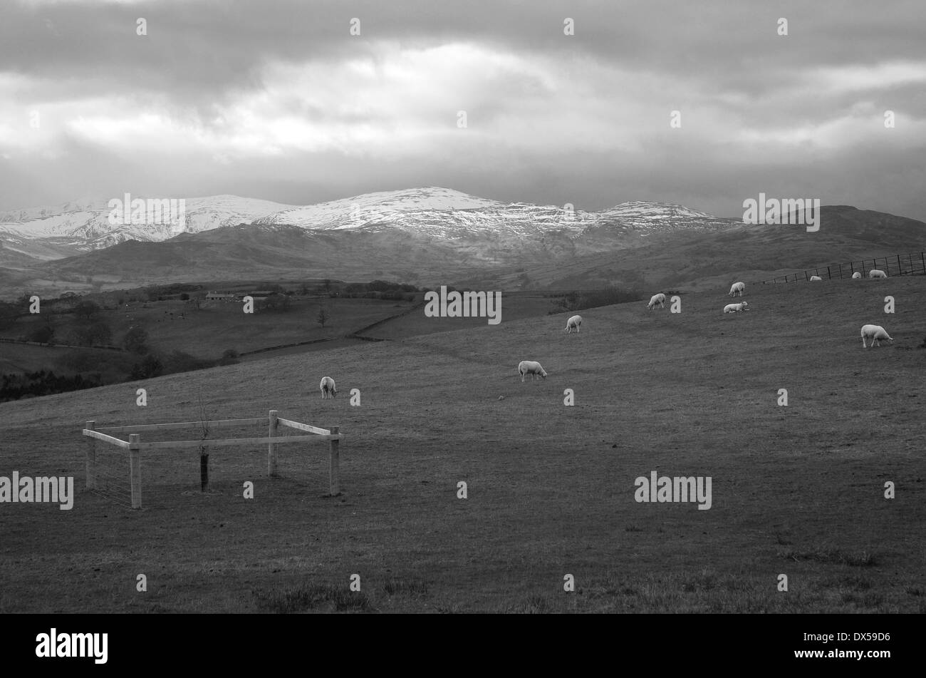 Montagne coperte di neve il Galles del Nord Foto Stock