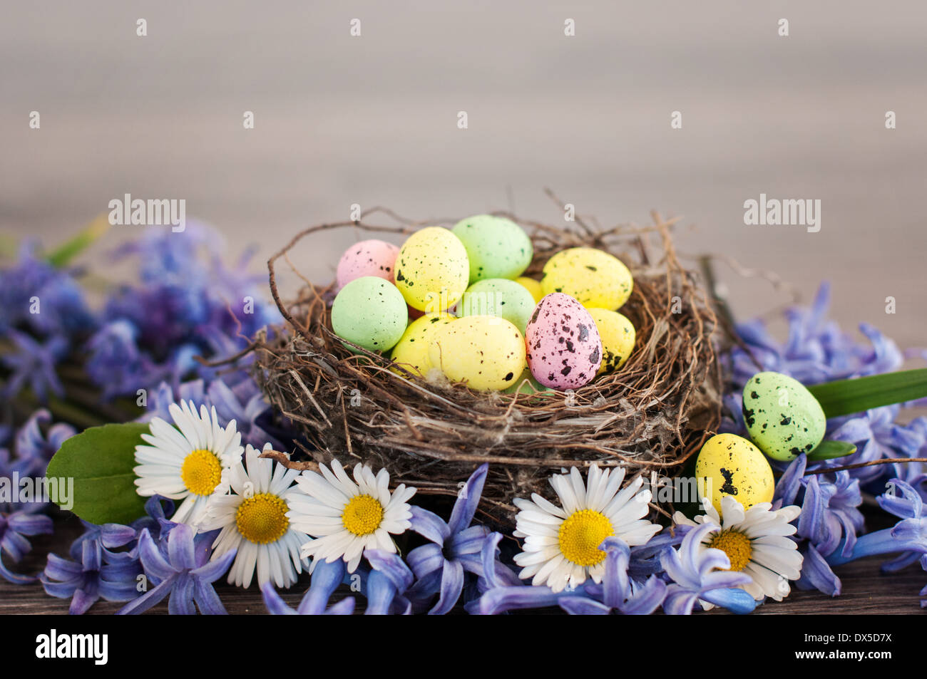 Uova di Pasqua in un nido tra fiori di primavera Foto Stock