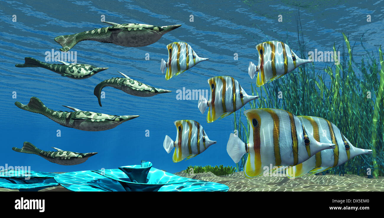 Pteraspis è un genere estinto di oceano jawless pesce che visse nel periodo Devoniano. Foto Stock