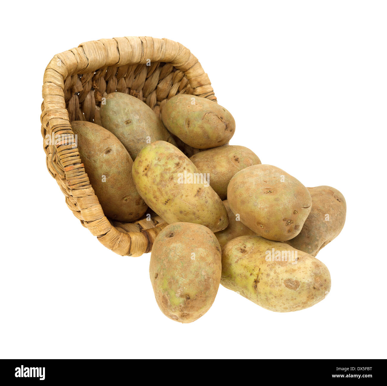 Più patate russet fuoriuscita da un vecchio cesto tessuto su uno sfondo bianco. Foto Stock