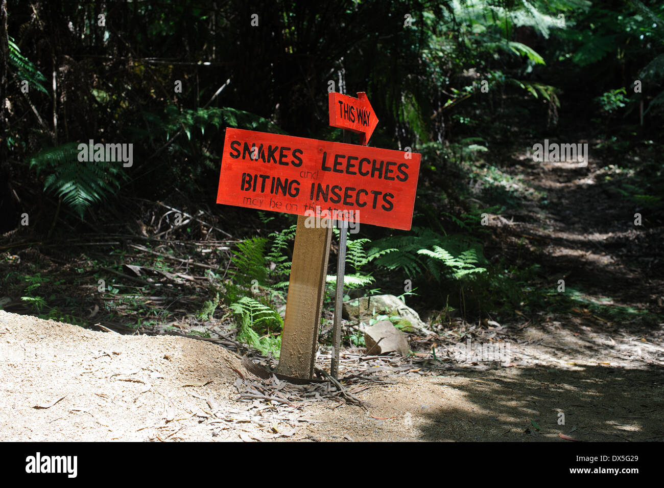 Pericoli di bush a piedi in Australia. Un segnale di avviso nella foresta pluviale di Illawarra Nuovo Galles del Sud, Australia. I serpenti e punture di insetti Foto Stock