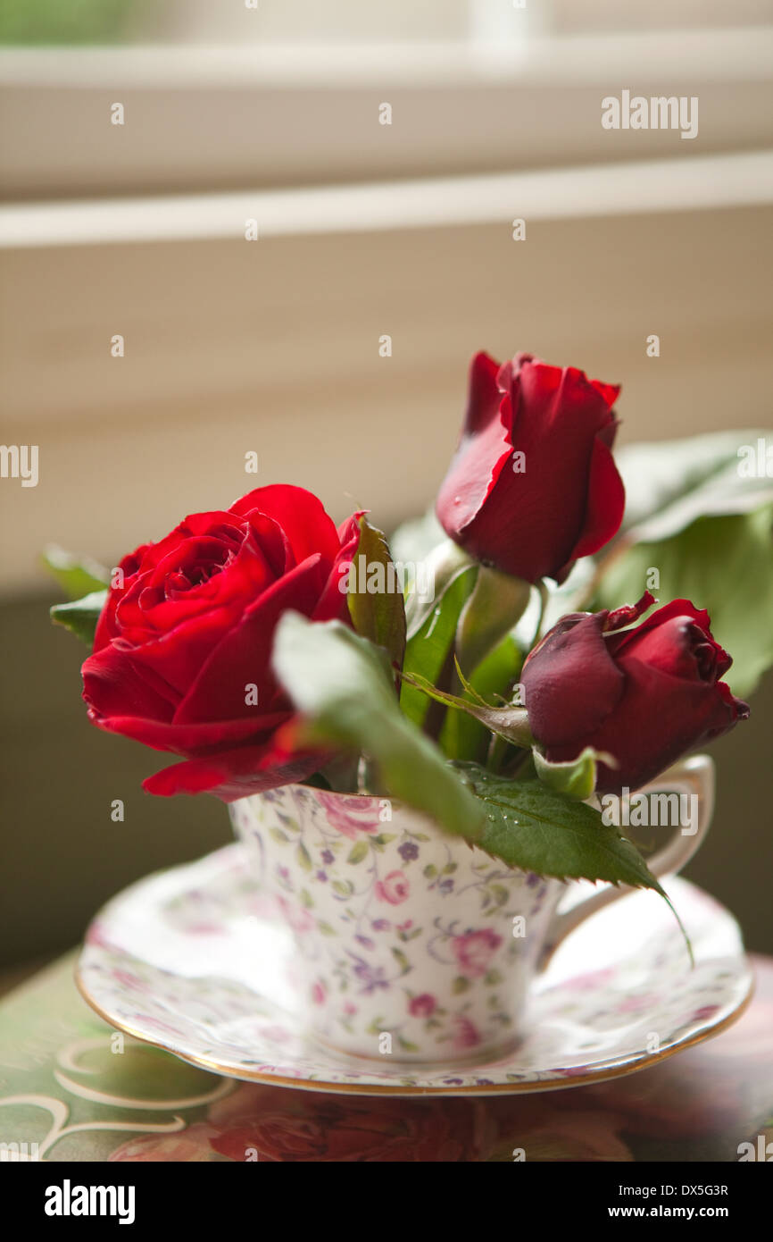Rose rosse in floreale femminile tazzina dal davanzale, close up Foto Stock