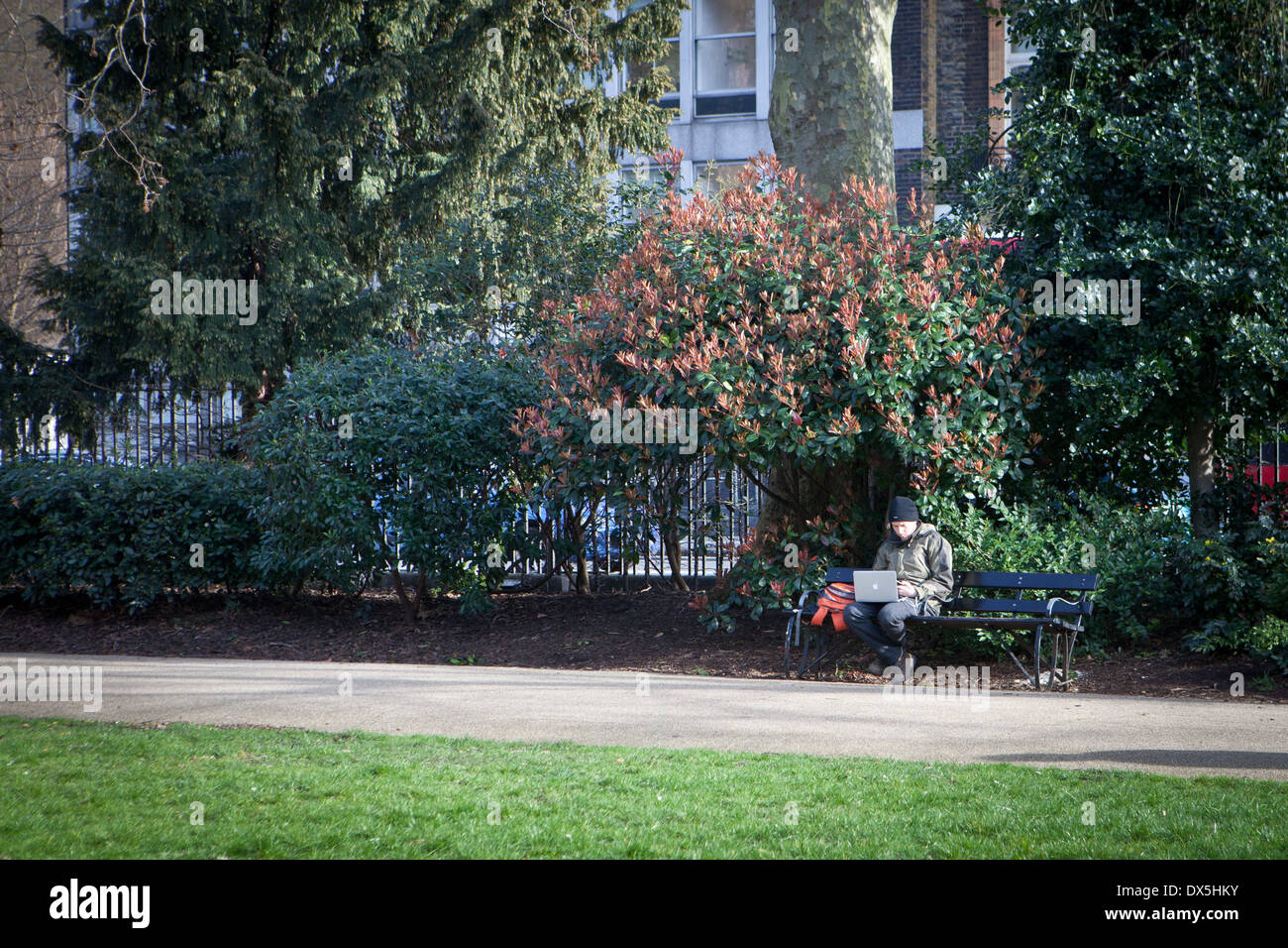 Uomo al lavoro su Apple lap top seduta su una panchina nel parco Foto Stock