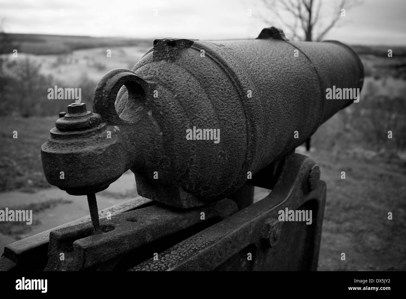 Una immagine in bianco e nero di un cannone. Foto Stock