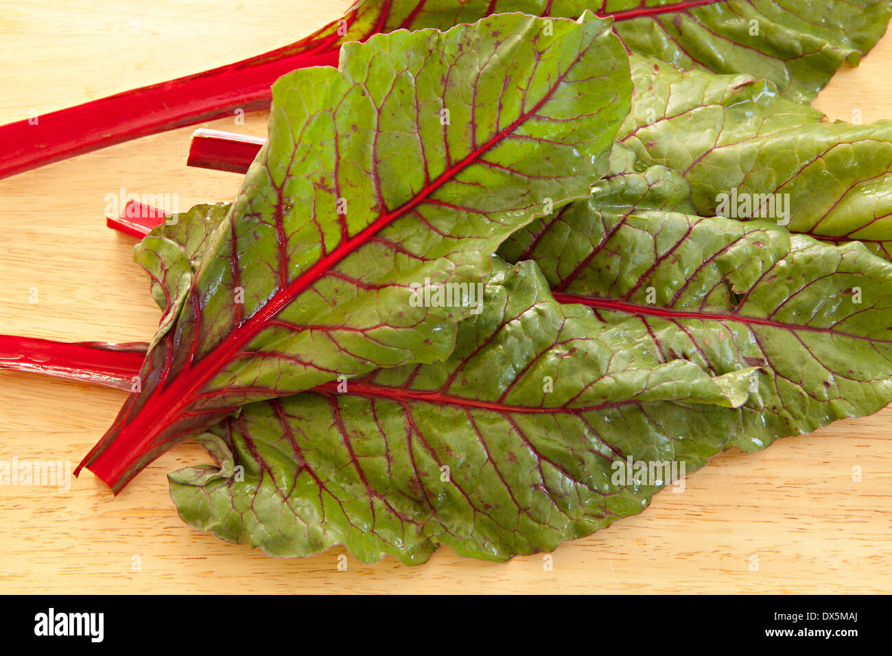 Rabarbaro con il rosso e il verde delle foglie, direttamente sopra, vicino ad alto angolo di visione Foto Stock