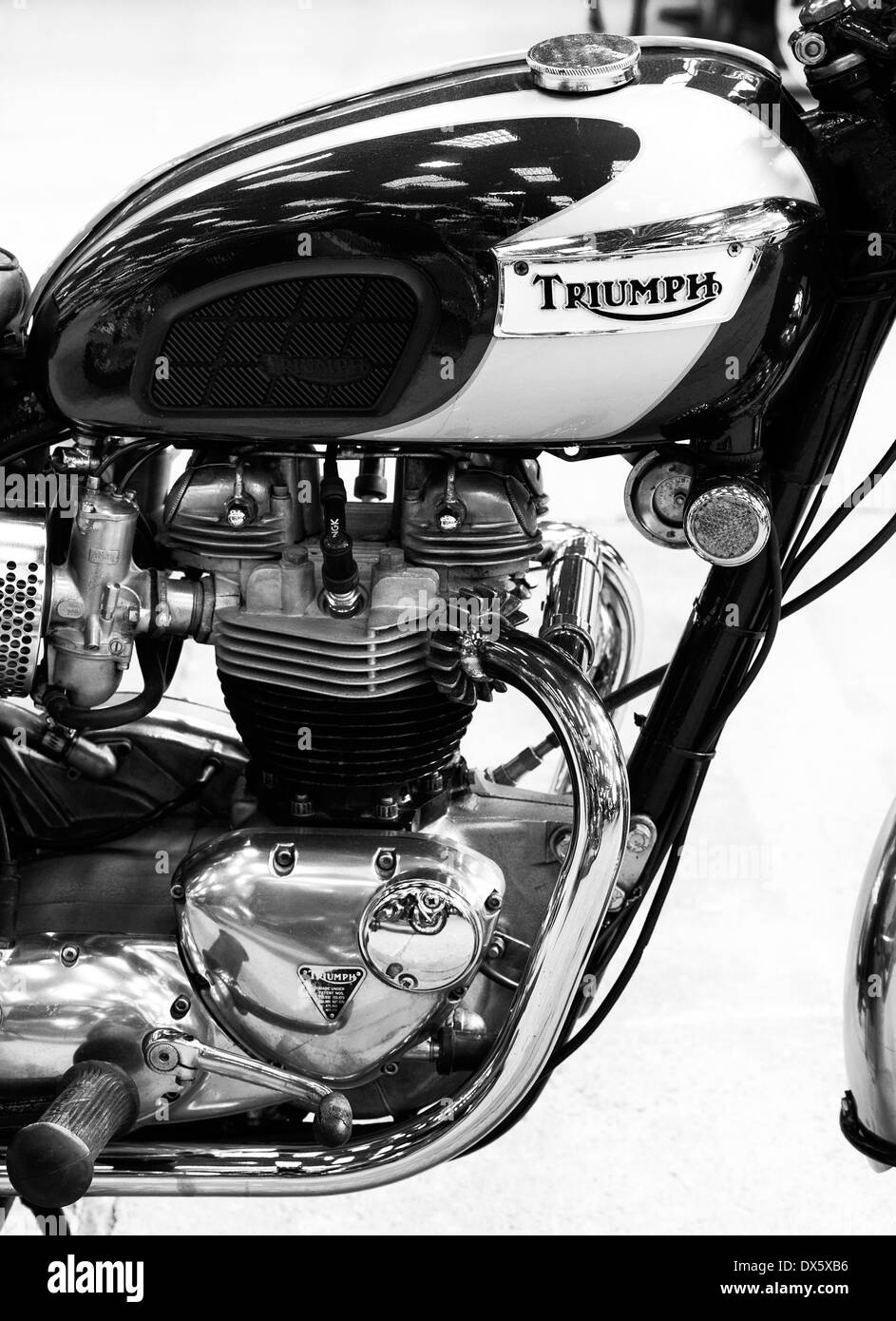 Triumph Bonneville moto. Classic british motocicletta. Monocromatico Foto Stock