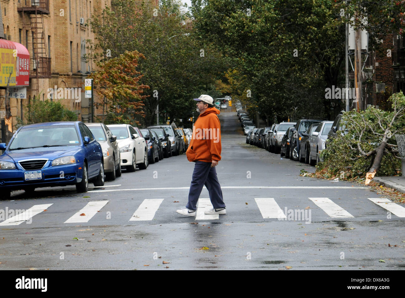 I residenti nel quartiere di Queens, a New York City, hanno risvegliato la devastazione lasciata per una notte da 'superstorm' sabbiosa. Gli alberi sono stati sradicati, frantumazione automobili e bloccando l'accesso alle strade. Il Presidente Usa Barack Obama ha dichiarato lo stato di "grandi" di emergenza in tutta New York. Gli aeroporti sono chiusi e le imprese sono invitati a non riaprire fino a quando non è sicuro di farlo. Dove: New York City, Stati Uniti quando: 30 Ott 2012 Foto Stock