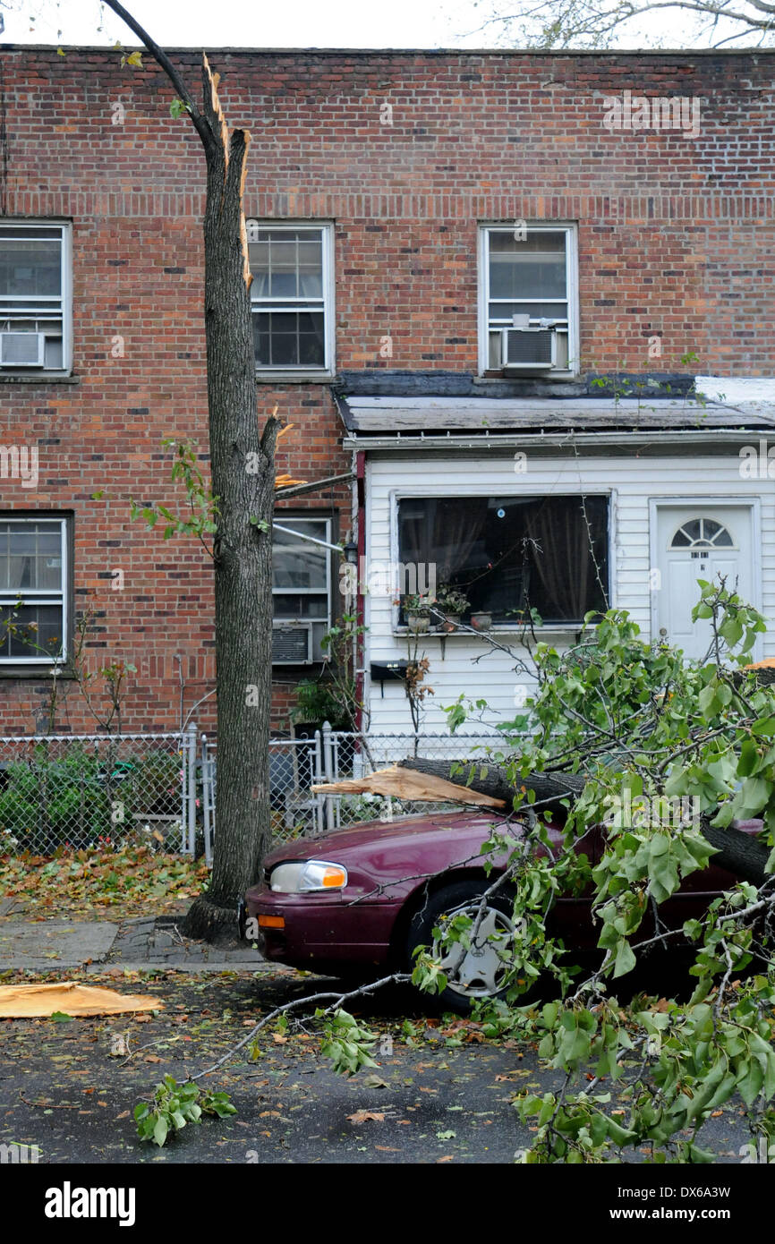 I residenti nel quartiere di Queens, a New York City, hanno risvegliato la devastazione lasciata per una notte da 'superstorm' sabbiosa. Gli alberi sono stati sradicati, frantumazione automobili e bloccando l'accesso alle strade. Il Presidente Usa Barack Obama ha dichiarato lo stato di "grandi" di emergenza in tutta New York. Gli aeroporti sono chiusi e le imprese sono invitati a non riaprire fino a quando non è sicuro di farlo. Dove: New York City, Stati Uniti quando: 30 Ott 2012 Foto Stock