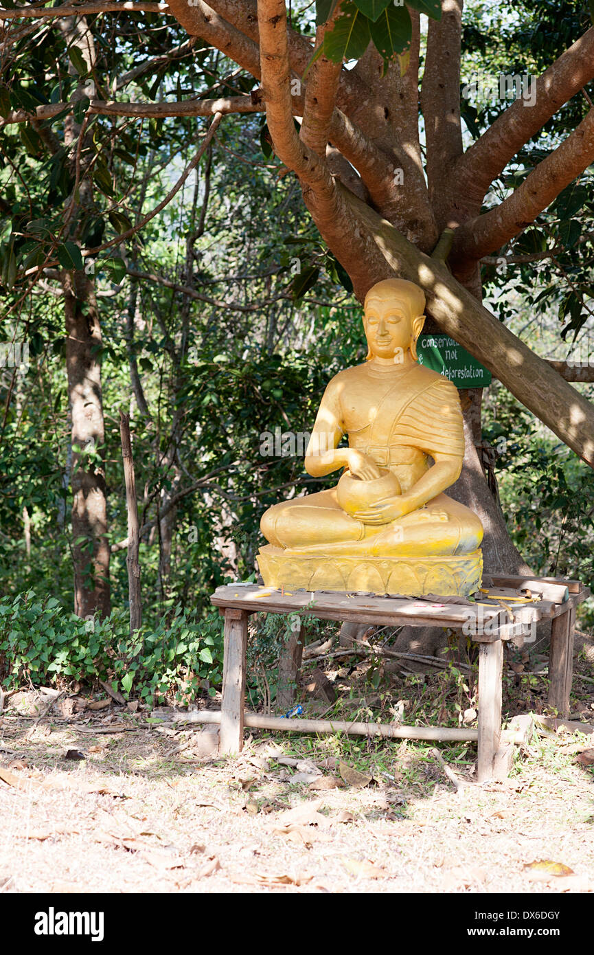 Buddha d'oro sotto un albero nel tempio motivi in Huay Pakoot villaggio nel nord della Thailandia. Foto Stock