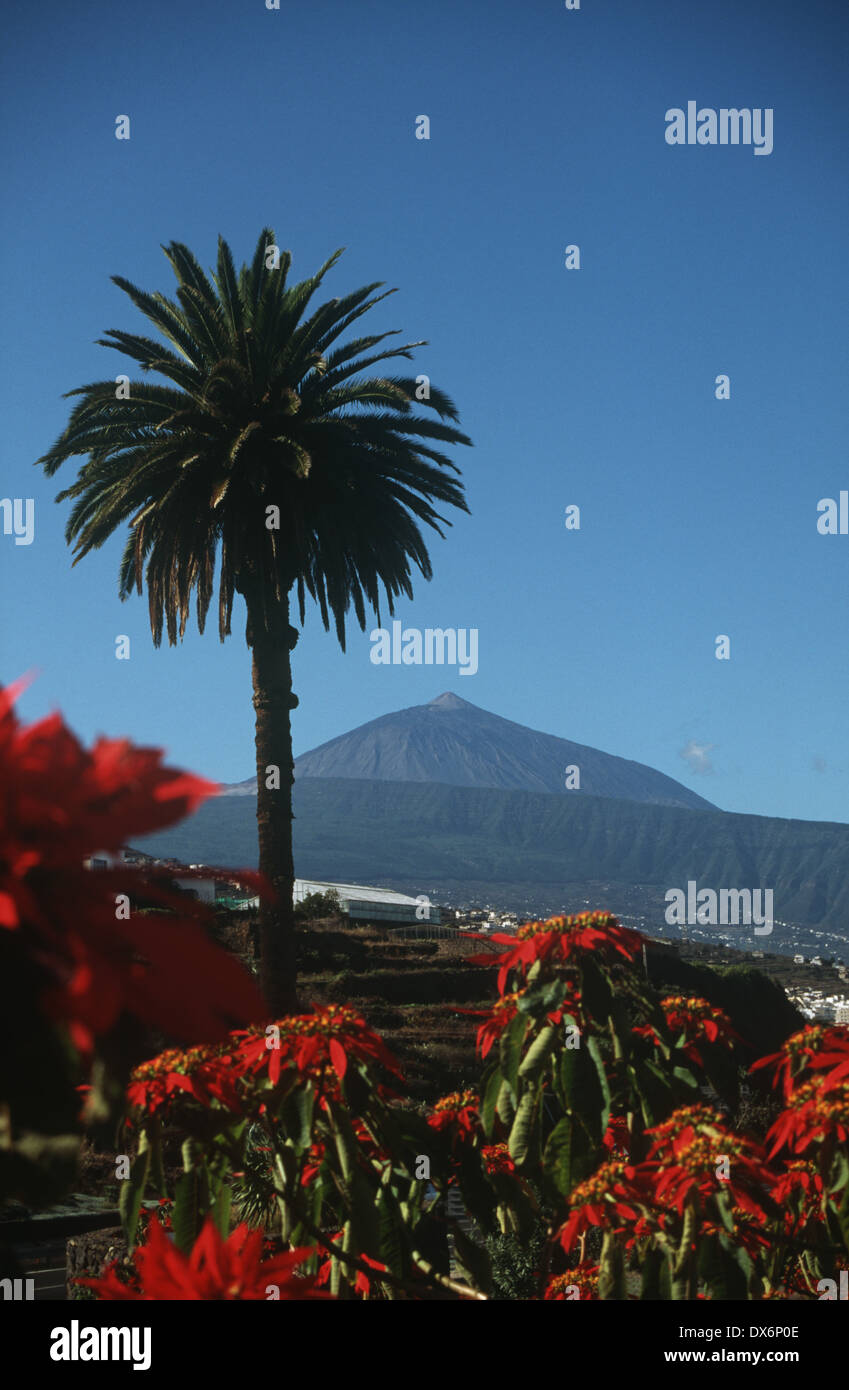Il monte Teide e la valle di Orotava Tenerife Spagna,il Monte Teide e la valle di Orotava Tenerife Spagna Foto Stock