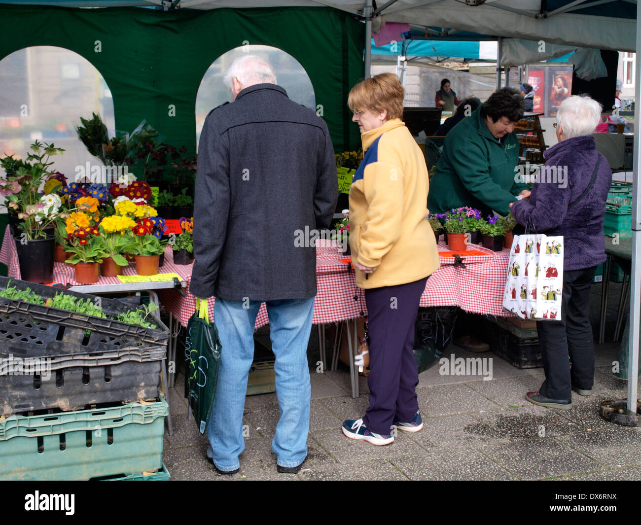 Impianto venditore, Falmouth Mercato, Cornwall, Regno Unito Foto Stock