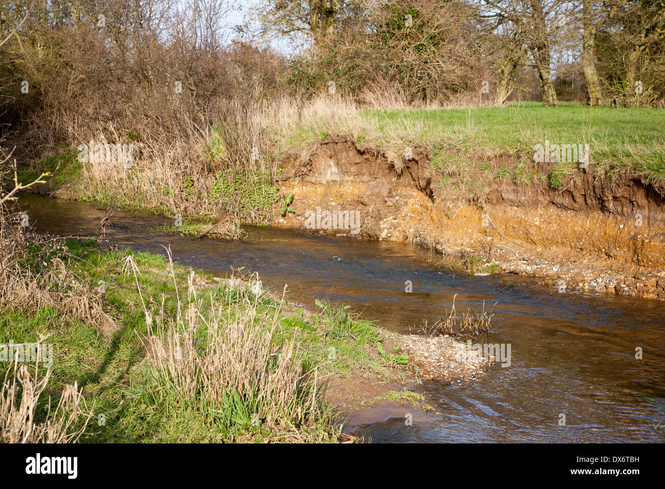 Erosione e deposizione con river cliff e slip-fuori pista, Fiume Deben, Ufford, Suffolk, Inghilterra Foto Stock