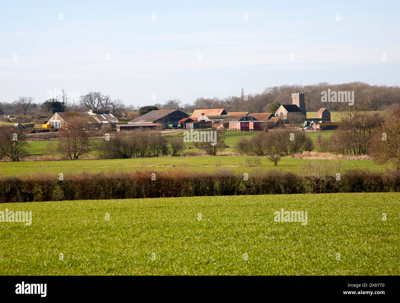 Edifici agricoli raggruppati intorno un antica chiesa formando un insediamento rurale di Abbey Farm, Letheringham, Suffolk, Inghilterra Foto Stock