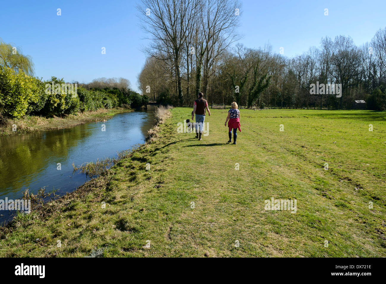 La scorre delicatamente 'fiume Bure' si snoda attraverso le parti di ricambio di "North Norfolk' sul percorso verso la "Norfolk Broads' UK Foto Stock