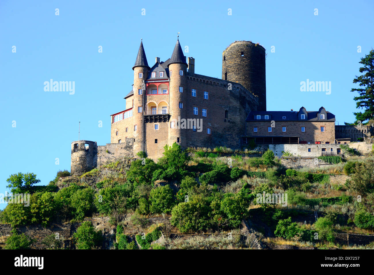 Katz castello Valle del Reno Germania Europa vigneti Cantine de crociera Foto Stock