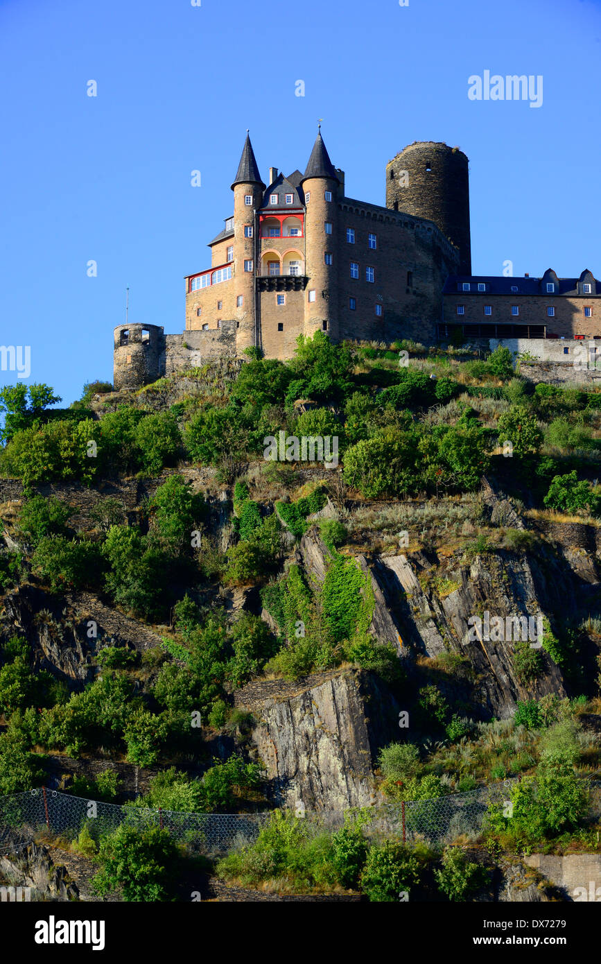 Katz castello Valle del Reno Germania Europa vigneti Cantine de crociera Foto Stock
