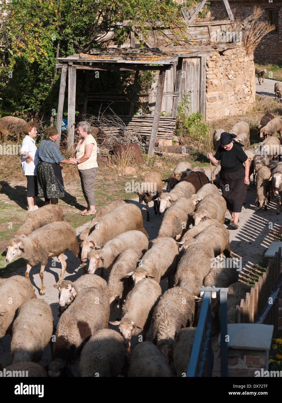 In vecchio stile di vita di villaggio in Miokazi, vicino Kicevo, Repubblica di Macedonia Foto Stock